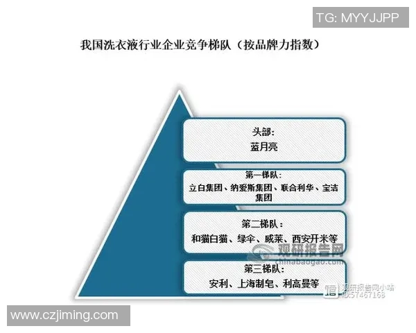 代怀博的崛起与未来发展趋势分析及其在行业中的影响力探讨